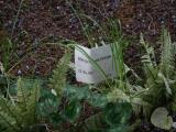 image of grave number 595713